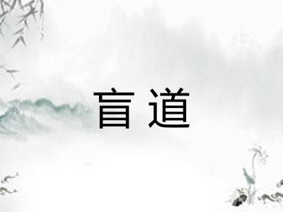 盲道 盲道