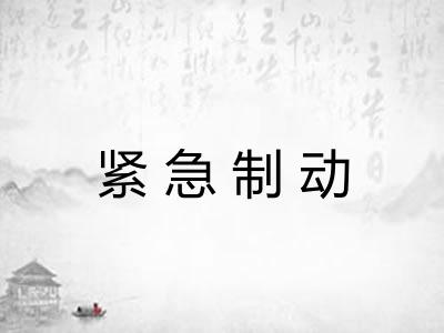 紧急制动 紧急制动