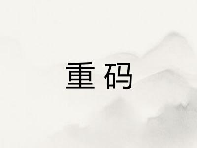 重码 重码