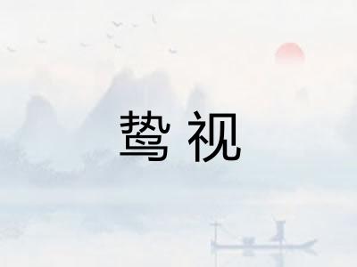 鸷视