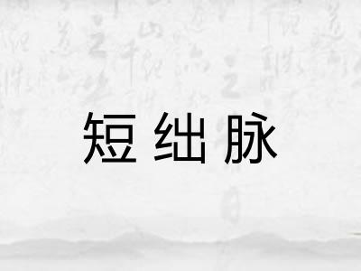 短绌脉