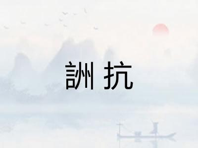 詶抗