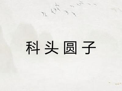 科头圆子 科头圆子