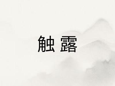 触露 触露