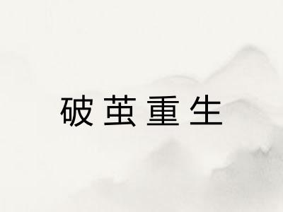 破茧重生 破茧重生