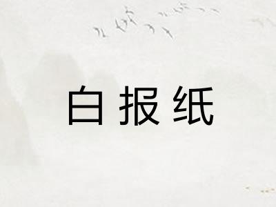 白报纸