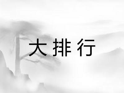 大排行 大排行