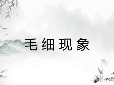 毛细现象 毛细现象