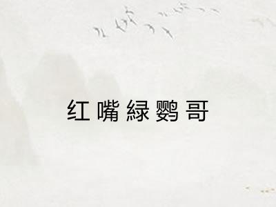 红嘴緑鹦哥 红嘴緑鹦哥