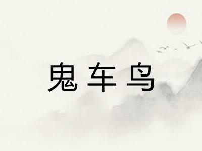 鬼车鸟 鬼车鸟