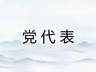 党代表 党代表