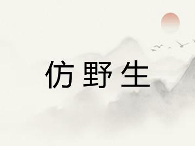 仿野生 仿野生