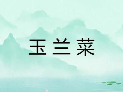 玉兰菜 玉兰菜
