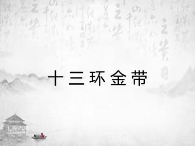 十三环金带 十三环金带
