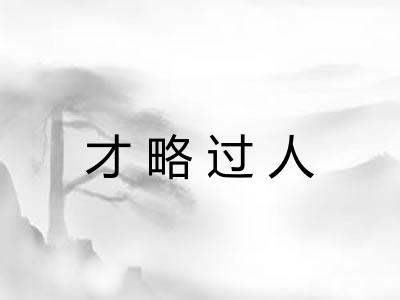 才略过人 才略过人