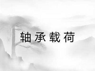 轴承载荷 轴承载荷