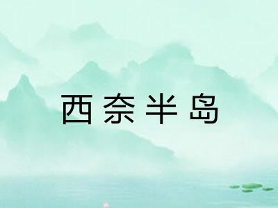 西奈半岛 西奈半岛