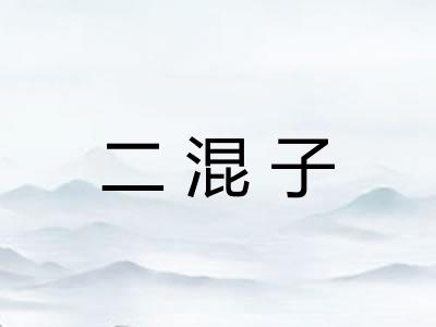 二混子