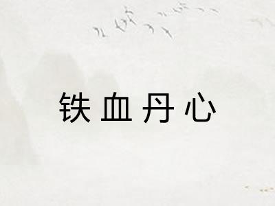 铁血丹心 铁血丹心