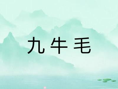 九牛毛 九牛毛
