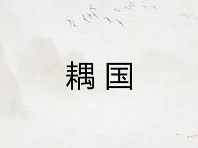 耦国