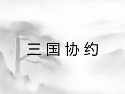 三国协约 三国协约