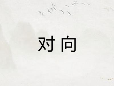 对向