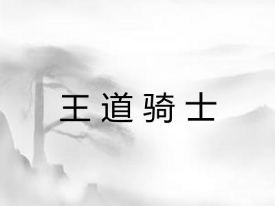 王道骑士 王道骑士