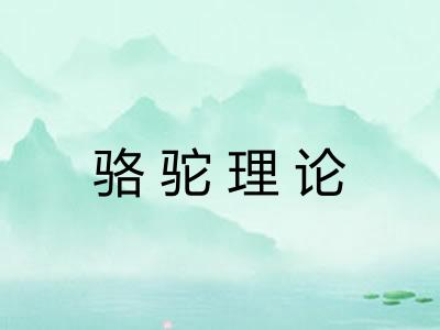 骆驼理论 骆驼理论