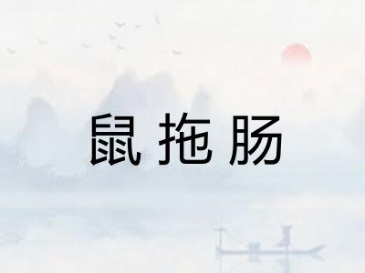鼠拖肠