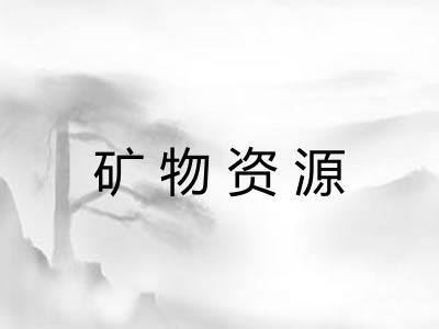 矿物资源 矿物资源