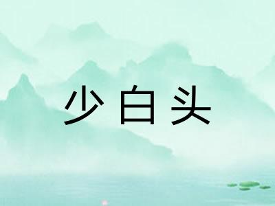 少白头 少白头