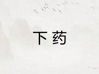 下药 下药
