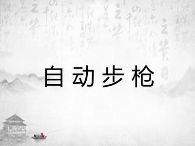 自动步枪 自动步枪