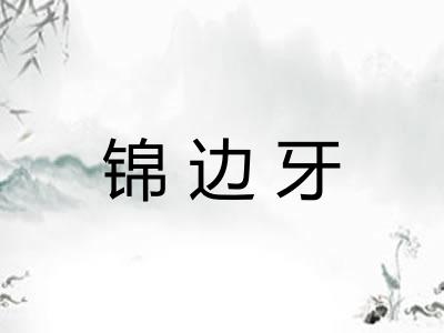 锦边牙 锦边牙