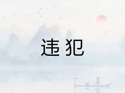 违犯 违犯