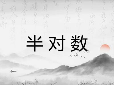 半对数
