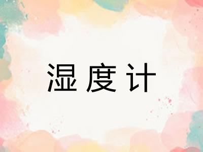 湿度计 湿度计