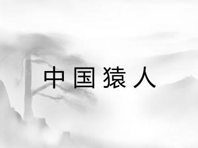 中国猿人 中国猿人