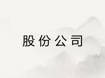 股份公司 股份公司