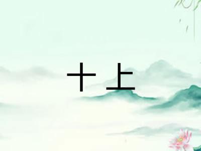 十上
