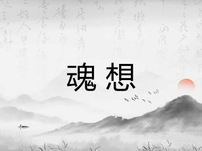 魂想 魂想