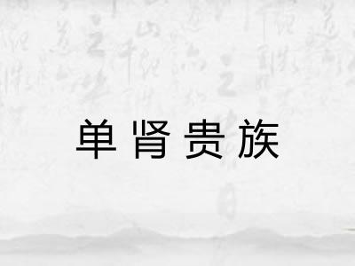 单肾贵族 单肾贵族