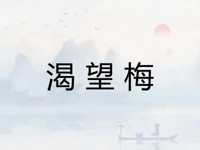 渴望梅 渴望梅