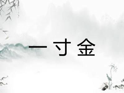 一寸金