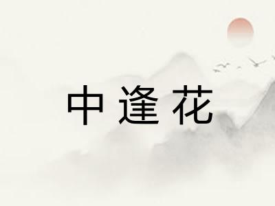 中逢花 中逢花