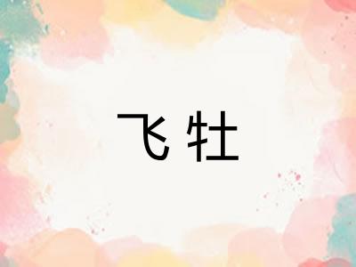 飞牡 飞牡