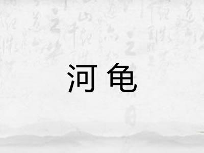 河龟 河龟