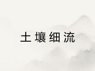 土壤细流 土壤细流