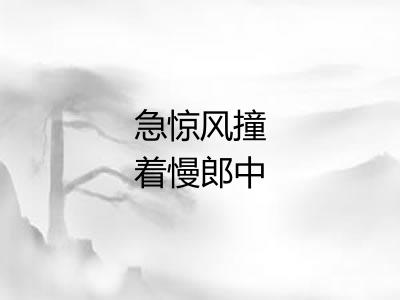 急惊风撞着慢郎中